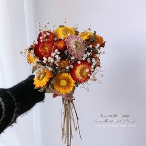 Pequeño Ramo de Flores Secas de Margarita, Decoración <span class=keywords><strong>para</strong></span> Sala de Estar, Girasol, Adornos Decorativos Sin Manchas, Estilo Ins, Secos - Product Image 2