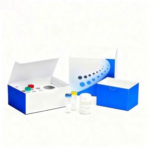 Factory Price Custom 10x3ml Vial Label <b>Stickers</b> with Matt Lamination Disposable Plastic Tray Packaging and Custom Logo Box - Product Image 2