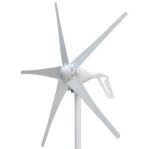 Générateur éolien horizontal 600W pour usage domestique, à faible vitesse de vent, 12V 24V avec contrôleur, fabriqué en Chine - Product Image 1