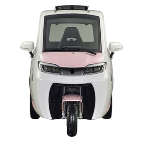 Tricycle électrique fermé EEC COC L2e pour adultes, capacité 3 passagers - Product Image 1
