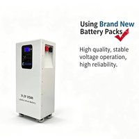 Batería de Litio Solar de Ciclo Profundo de 314 Ah y 16 kWh para RV con Baja Generación de Calor, BMS Inteligente, Compatible con Estación de Energía Doméstica, Ahorro de Espacio