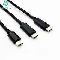 Kabel Konektor Pengisi Daya USB, Kabel USB C Tipe C Ke 2 3 4 5 6 Pin JST/Molex/Yeonho 4 Pin