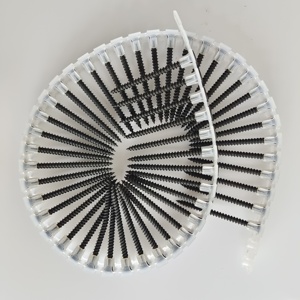 Tornillo para paneles de yeso, tornillos <span class=keywords><strong>autorroscantes</strong></span>, tira de plástico vacía de tornillo para paneles de yeso - Product Image 1