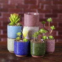 Pot de fleur à fente, 1 pièce Z518, Mini bonsaï, plantes hydroponiques succulentes, pour décoration de maison et de bureau