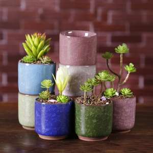 <span class=keywords><strong>Pot</strong></span> de fleur à fente, 1 pièce Z518, Mini <span class=keywords><strong>bonsaï</strong></span>, plantes hydroponiques succulentes, pour décoration de maison et de bureau - Product Image 2