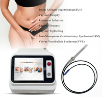 Gynécologie 980 1470nm L Ser Traitement de l'atrophie vaginale, des fibromes utérins et ovariens, Hémorroïdes, EVLT, PLDD, ENT, en clinique chirurgicale