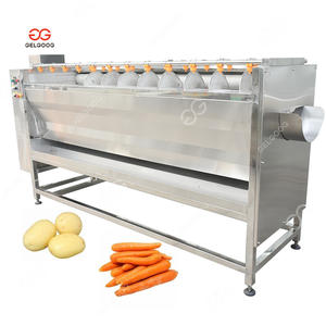 Поставщики Gelgoog, Машина для мойки и очистки имбиря, сахарной свеклы - Product Image 5