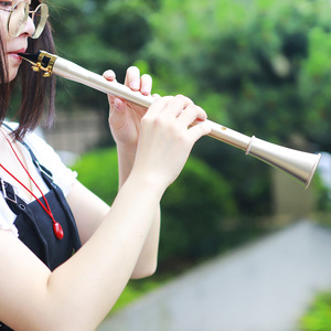 <span class=keywords><strong>Clarinete</strong></span> de Bolsillo Mini IRIN, Afinación en Mi, Resina ABS, Instrumento de Viento para Principiantes, Venta al Por Mayor - Product Image 2