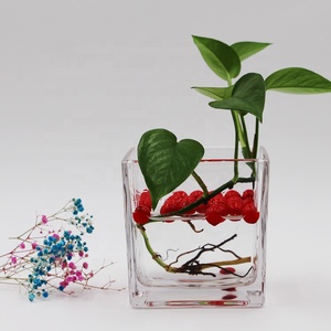 Commercio all'ingrosso grande vetro chiaro cubo vaso di colore personalizzato Design moderno arredamento per la casa di nozze quadrato fiore e pianta vaso - Product Image 2