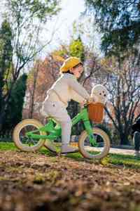 Nouveau modèle 2026 – Vélo d'équilibre pour enfants à cadre en acier / Roues de 12 pouces pour enfants de 3 à 6 ans <span class=keywords><strong>sans</strong></span> pédales - Product Image 4