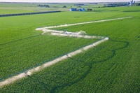 Système d'irrigation à pivot central en métal personnalisé Daringfish avec technologie IoT, équipé d'une pompe et d'un moteur à engrenages pour les grandes exploitations agricoles