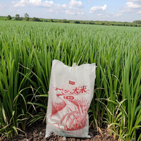 Sac tissé en PP laminé BOPP écologique réutilisable de 50 kg, 25 kg, 10 kg pour riz, maïs, aliments pour animaux, céréales, farine, logo personnalisé