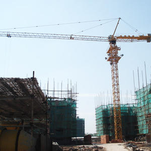 เครนทาวเวอร์แบบอยู่กับที่ TC6013 ประสิทธิภาพสูง 6 ตัน 8 ตัน ราคาโรงงาน - Product Image 2