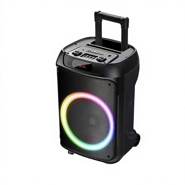 OEM wholesale Foreign Trade TTD-1209 12-Inch for Subwoofer Trolley IPX3 Waterproof Built-in Battery Outdoor Indoor Use Portable Karaoke
