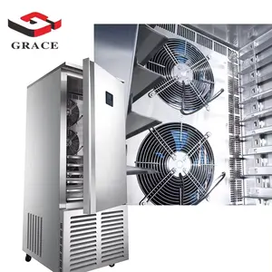 Grace High quality quick liquid nitrogen tunnel freezer freezer room container cold room for chicken