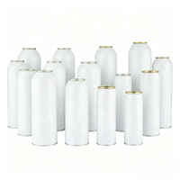 Kaleng Aerosol Aluminium Terlaris 200ml-400ml Kaleng Kosong untuk Parfum Kimia Industri Warna Logo Kustom Grosir Harga Murah