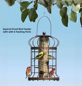 Mangeoire à colibris suspendue pour jardin extérieur, résistante aux intempéries, robuste, anti-écureuils, avec 6 ports d'alimentation - Product Image 1