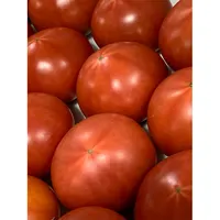 Japon besleyici sıcak satış sera kutusu taze domates toptan