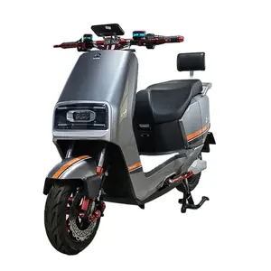 Fabrik preis Großhandel Well-Know 2 Wheel Off Road Neues Modell Elektromotor räder für Damen