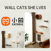 2025 luxe en bois chat lit nid support mural durable interactif meubles pour animaux de compagnie avec Capsules murales nouveau Style chat jouets