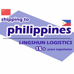 中国至马尼拉 DDP，含买家清关，支持跨境电商小包裹、大货，7-15天，LCL+快递 - Product Image 1