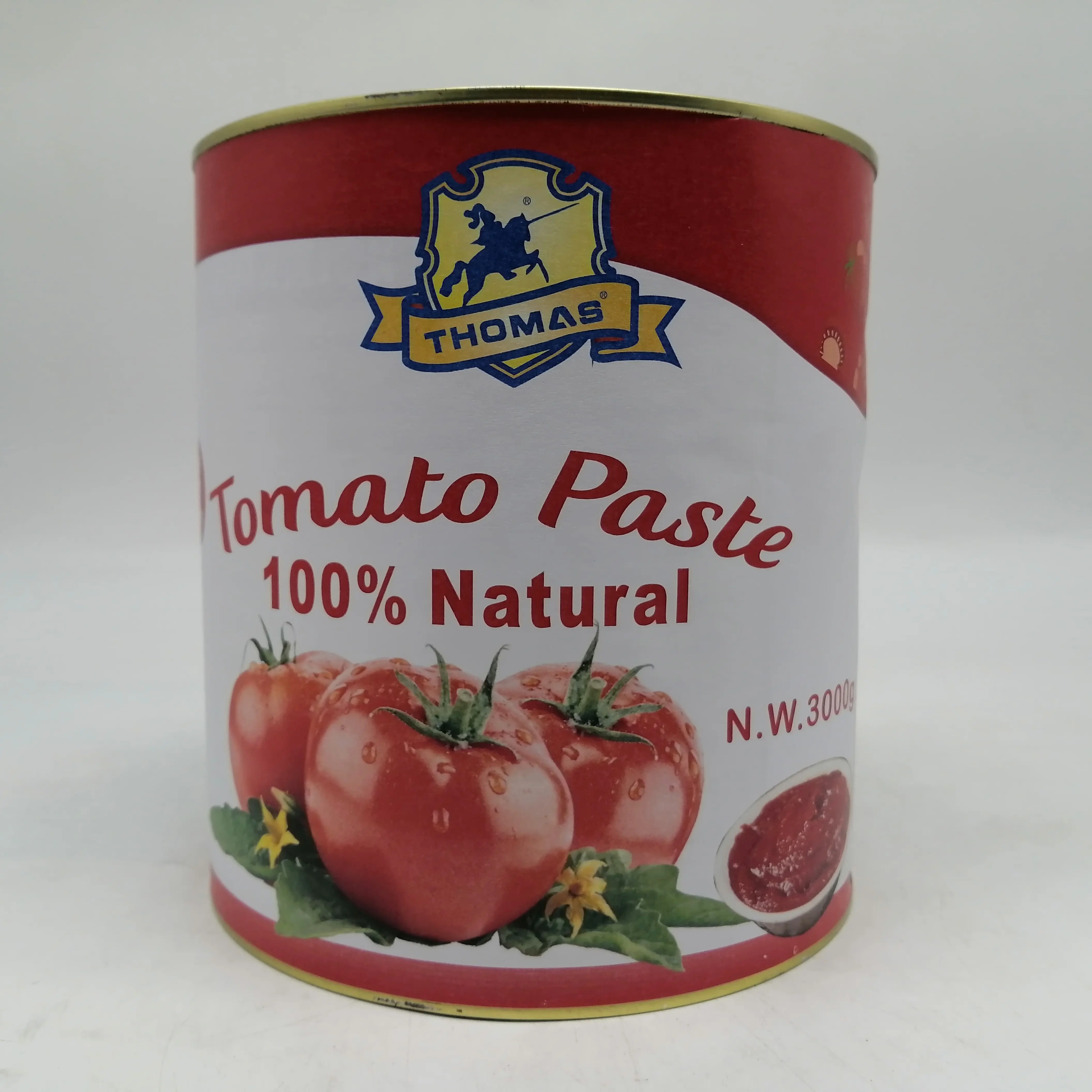 Wholesale canned food 198g canned tomatoes sauce french fries tomato puree natural healthy exotic ketchup tin tomatoes paste