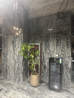 TY Shandong Granit Gris Blanc Naturel Écologique Moderne, Petite Dalle Brossée, Solution Complète pour Plans de Travail de Cuisine de Villa et de Parc