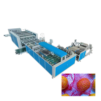 Automatische netzak snij- en naaimachine voor de productie van Raschel-mesh zakken