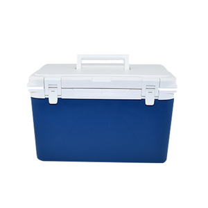 2021 Environmentally Friendly Outdoor Picnic Foldable Portable Cooler Box Small Refrigerator Beach Cooler Bags