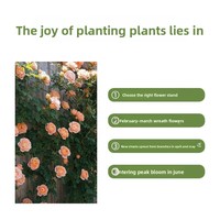 Jardinière pour plantes grimpantes, pot combiné pour culture de légumes sur balcon, extérieur, écologique, durable, pour plantes vertes, détachable et modulable