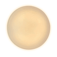 Lampe de plafond LED design contemporain, interrupteur mural plat portable, commande pour la maison ou l'hôtel, corps en plastique pour la chambre