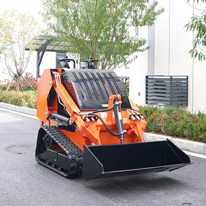 Nhà máy Trung Quốc CE EPA 300kg 350kg Nhỏ Gọn Mini phía trước Telescopic Skid chỉ đạo Bộ nạp với file đính kèm - Product Image 2