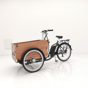 Porte avant ouverte <span class=keywords><strong>pour</strong></span> prendre le <span class=keywords><strong>chien</strong></span> vélo à trois roues vélo <span class=keywords><strong>cargo</strong></span> électrique moteur 250W vélo <span class=keywords><strong>cargo</strong></span> électrique - Product Image 6