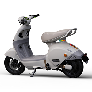 Motocicleta de Alta Potencia de 1200W con Batería de 72V50AH, Capacidad de Carga de 250 kg, Doble Asiento para Desplazamientos Urbanos de Largo Alcance - Product Image 4