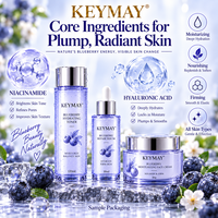 Set Perawatan Kulit Asam Hialuronat Blueberry Korea Niacinamide Melembapkan Mengencangkan Label Pribadi OEM ODM Produsen Grosir