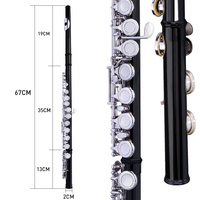 STARWAY Flute Professional Brass C Key 16 Hole Flute Silver Plated Musical Instruments With Case and Accessories