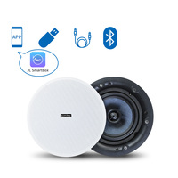 BTF32 Active 30W Haut-parleur de plafond coaxial sans cadre Bluetooth Haut-parleur de plafond principal avec 1 haut-parleur de plafond esclave