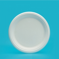 Assiettes à pizza bagasse incassables au design personnalisé, plateau ou assiette à compartiment jetable pour servir le barbecue