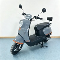 Scooter électrique rétro de fabrication chinoise, cyclomoteur électrique 1000W, moto électrique OEM, cyclomoteur électrique