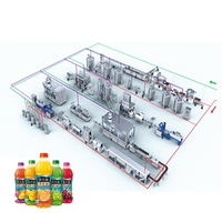 Automatische Verse Vruchtensap Verwerking Lijn/Sap Productielijn/Sap Making Machine