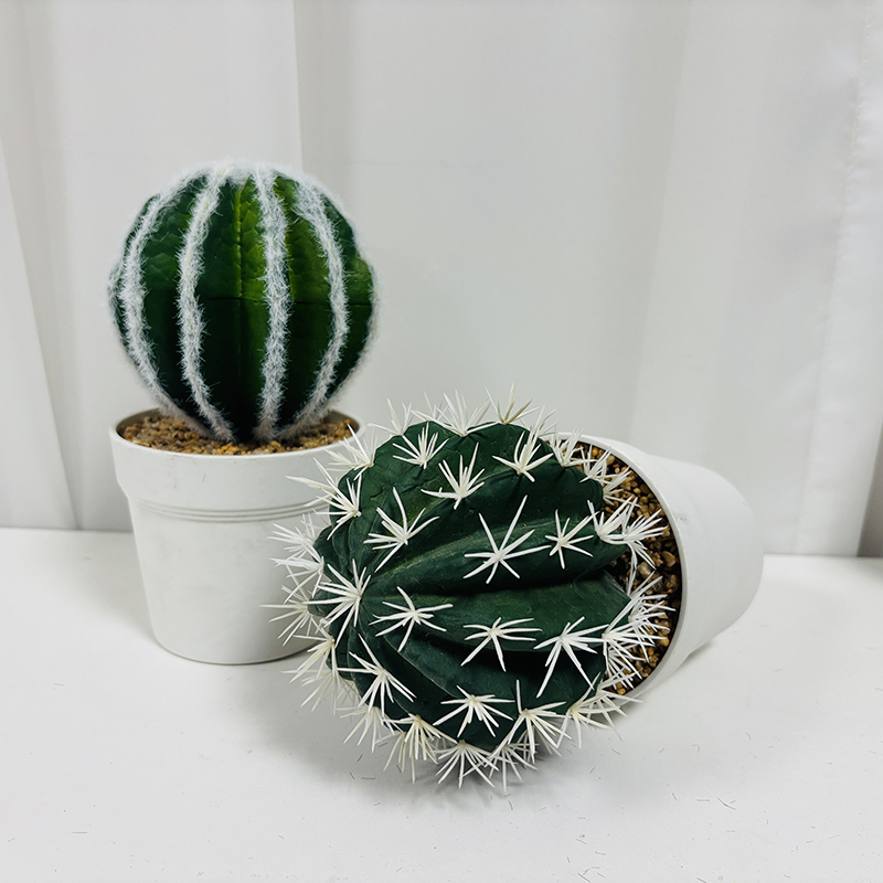 White pot