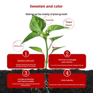 Organic Acid-Reducing Fertilizer Liquid <strong>Fruit</strong> Power Sweetener for Sweeter Melons and Fruits - Product Image 4