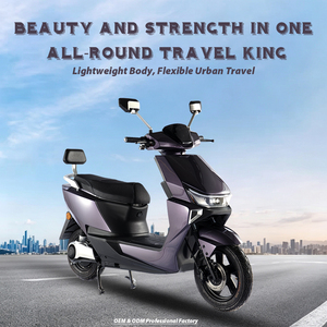 Moto électrique PACIFIC 1000W 60V 24AH avec batterie au lithium, pneus 3.0-12, fabricant OEM, moto électrique pour adultes, CE - Product Image 1