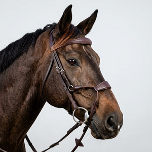 Modern Unique Leather Bridle for Horse Annabelle <b>Equestrian</b> Best Wholesale Price customize logo size bridle supplier - Product Image 1