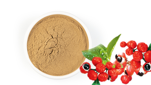 Bubuk Halus Coklat Larut Air Ekstrak Kafein <span class=keywords><strong>Guarana</strong></span> 22% UV & HPLC - Product Image 3