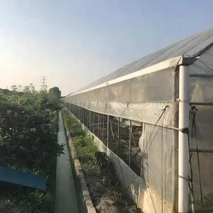 Equipo de cultivo de invernadero de tubos de acero galvanizado en caliente