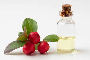 Aceite Esencial de Wintergreen para el Cuidado de la Piel, el Cabello y el Cuerpo, Ideal para Terapia de Masajes, Tratamiento de Spa, Relajación y Fortalecimiento del Cabello - Product Image 2