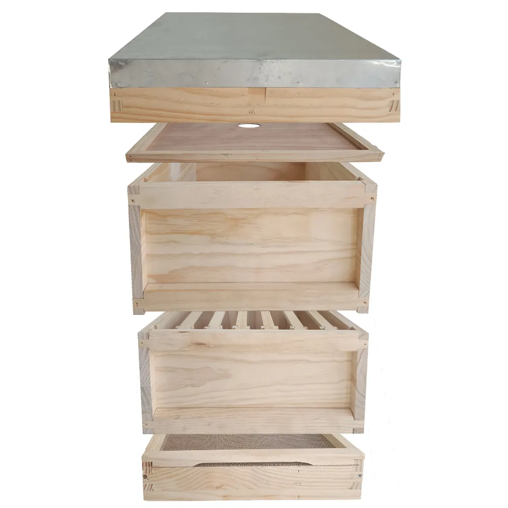 Tùy chỉnh quốc gia langstroth Bee Hive Hộp kit thiết bị nghề nuôi ong bằng gỗ BEE Hive