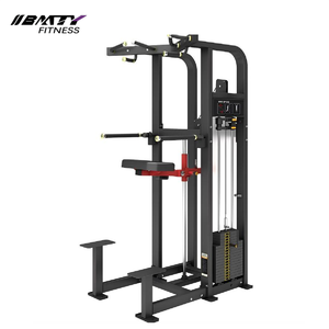 Direct From Source Gym-Specific Dip Chin Assist Cadre en alliage d'acier épaissi avec pédales antidérapantes pour la construction du haut du corps serré - Product Image 1