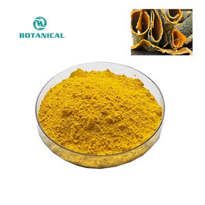 B.C.I Pure <span class=keywords><strong>Natural</strong></span> Berberina HCL Cortex Phellodendri Extrato Berberina Cloridrato Em Pó - Product Image 2
